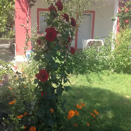 Ilgin Gazde/Camere de închiriat Mesudiye (Datca)
