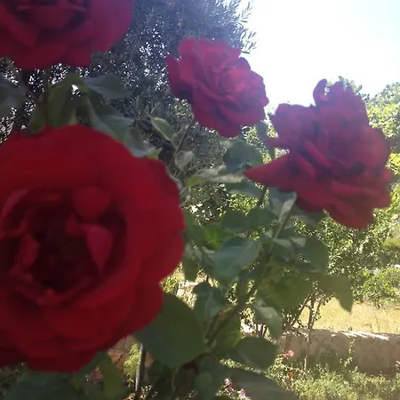 Gazde/Camere de închiriat Ilgin *