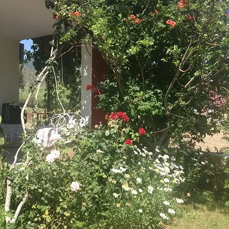 Ilgin Privatunterkunft Mesudiye (Datca)