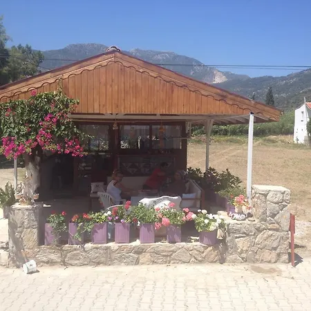 Ilgin Mesudiye (Datca)