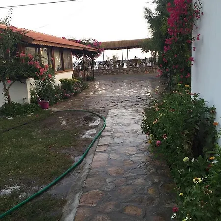 Ilgin Mesudiye (Datca)