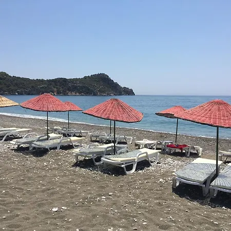 Ilgin Mesudiye (Datca)