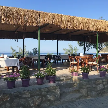 Ilgin Mesudiye (Datca)