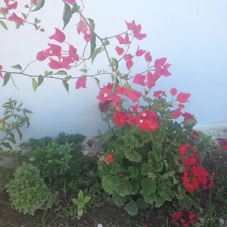 Privatunterkunft Ilgin Mesudiye (Datca)